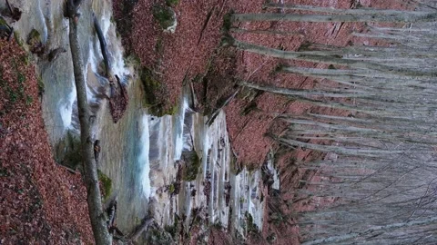 Mountain river forest autumn. Stock Footage 206691461