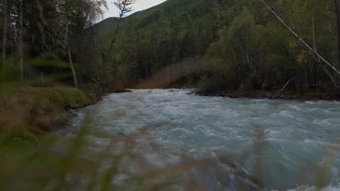 Mountain river forest bottom view Stock Footage 268709793