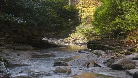 Mountain river in a forest canyon, rocky river, 4k Stock Footage 272770239
