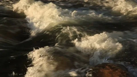 Mountain river in the forest close up. Summer Stock Footage 79054813