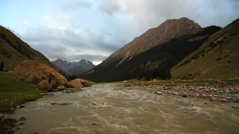 Mountain river in the forest close up. Summer Video stock 133864712