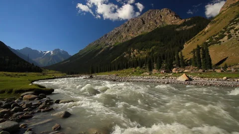 Mountain river in the forest close up. Summer Video stock 133864764