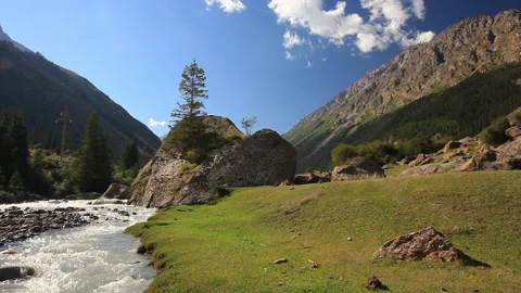 Mountain river in the forest close up. Summer Video stock 133864856