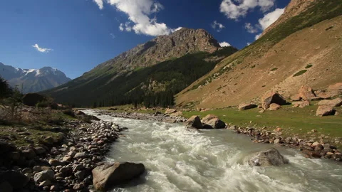 Mountain river in the forest close up. Summer Stock Footage 133864863
