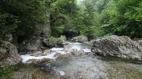 Mountain river in forest Stock-Footage 948883
