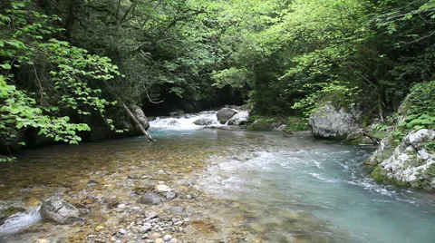 Mountain river in forest Stock Footage 948903