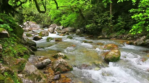 Mountain river in forest Stock-Footage 41293878