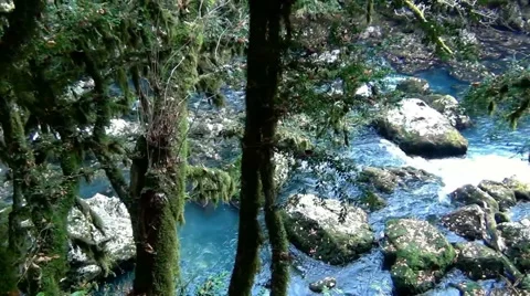 Mountain River in the Forest Vídeos de archivo 61922759