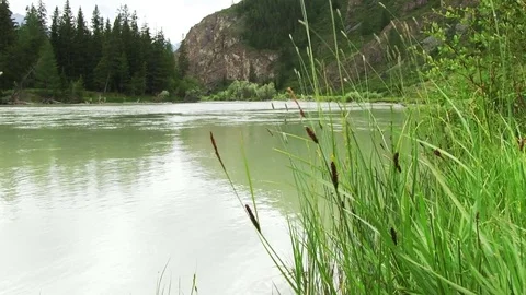 Mountain River In The Forest Видео 70025246