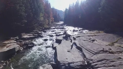 Mountain River on forest Stock Footage 83536572