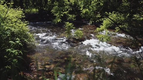 Mountain river in the forest Stock-Footage 100823354