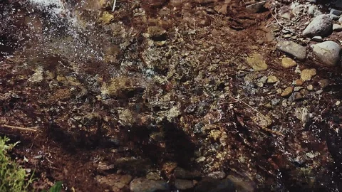 Mountain river in the forest Stock Footage 100823427