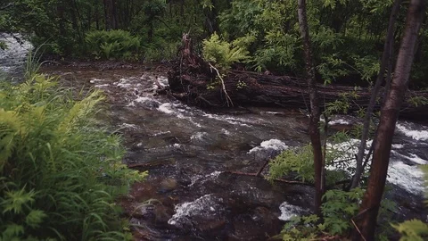 Mountain river in the forest Stock-Footage 100823437