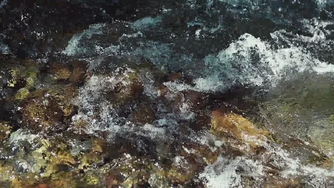 Mountain river in the forest Stock-Footage 100823461