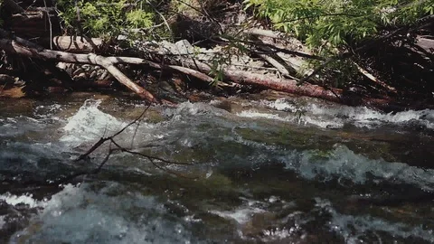 Mountain river in the forest Stock-Footage 100823492