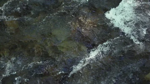 Mountain river in the forest Stock Footage 100823523