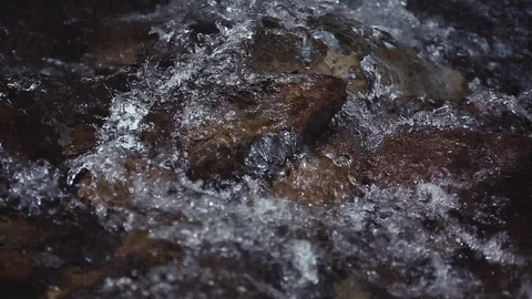 Mountain river in the forest Stock Footage 100823547