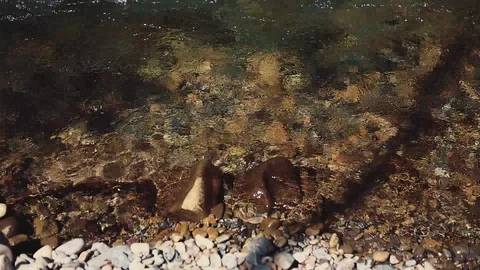 Mountain river in the forest Stock Footage 100823607