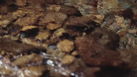 Mountain river in the forest Stock Footage 100823620