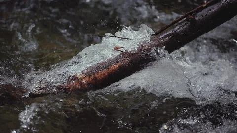 Mountain river in the forest Stock Footage 100823639