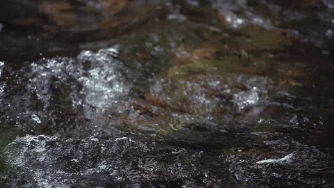 Mountain river in the forest Stock-Footage 100823669