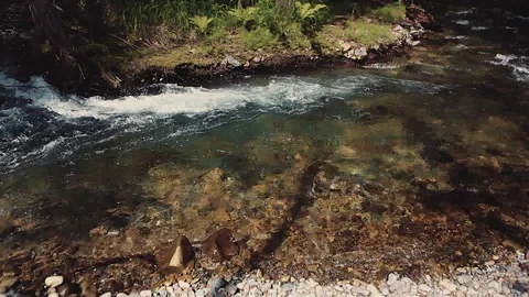 Mountain river in the forest Stock-Footage 100823688