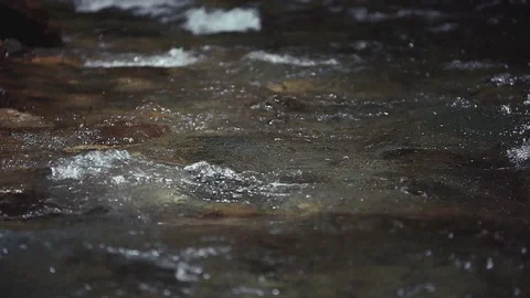 Mountain river in the forest Stock Footage 100823704