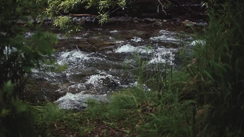 Mountain river in the forest Stock Footage