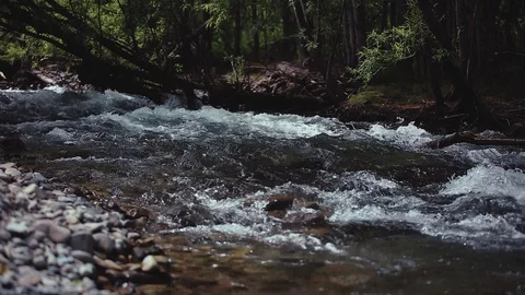 Mountain river in the forest Stock Footage 100823761