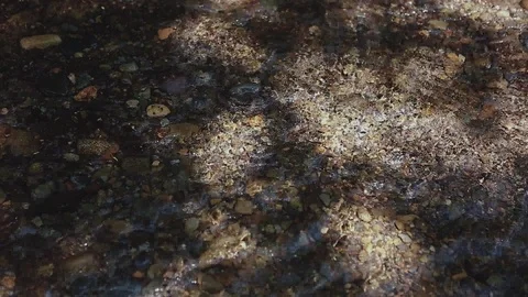 Mountain river in the forest Stock-Footage 100823806