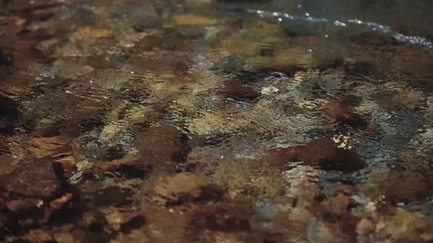 Mountain river in the forest Stock-Footage 100823816