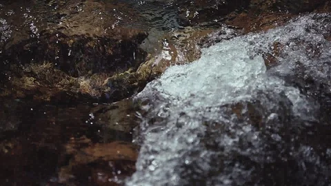 Mountain river in the forest Stock-Footage 100823861