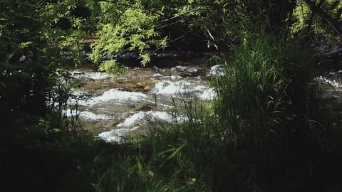 Mountain river in the forest Stock Footage 100823878