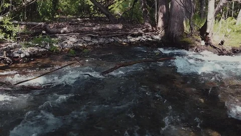 Mountain river in the forest Stock-Footage 100823933