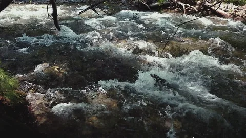 Mountain river in the forest Stock-Footage 100823954