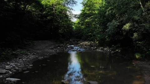 Mountain river in the forest. Stock Footage 111391182