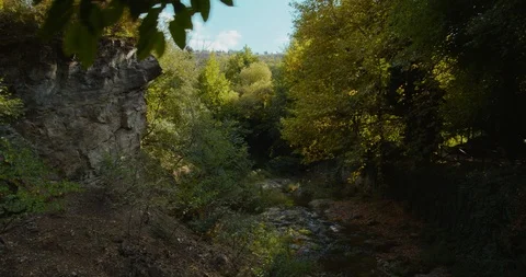 Mountain river in the forest. Stock Footage 121635078