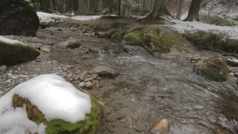 Mountain river in the forest Stock Footage 146129975