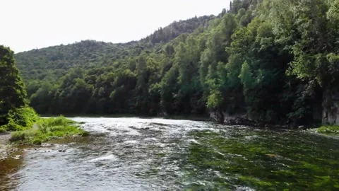 Mountain river in the forest Stock Footage 149321129