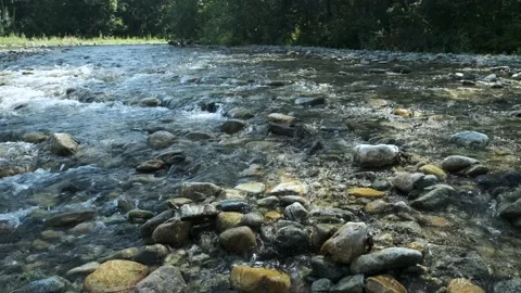 Mountain river in the forest. Stock Footage 159052842
