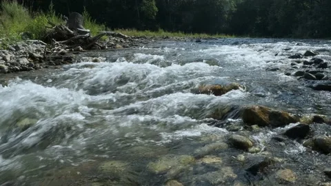 Mountain river in the forest. Stock Footage 159542037