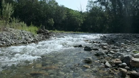 Mountain river in the forest. Stock Footage 159952773