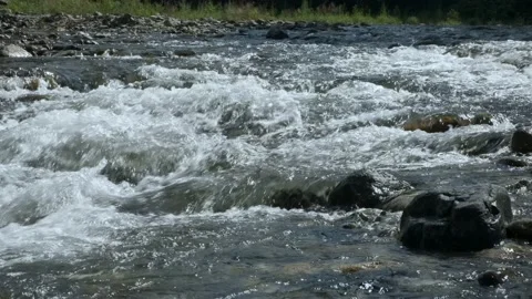 Mountain river in the forest. Stock Footage 164657497