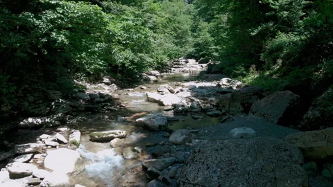 Mountain river in forest Stock Footage 201673634