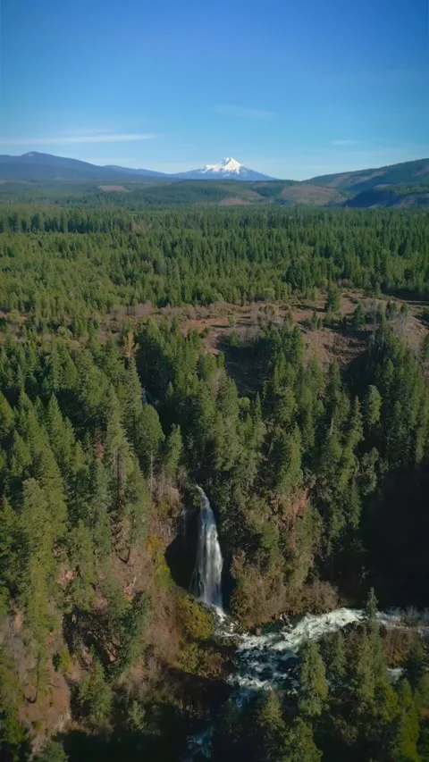 Mountain river in the forest Stock Footage 273867706