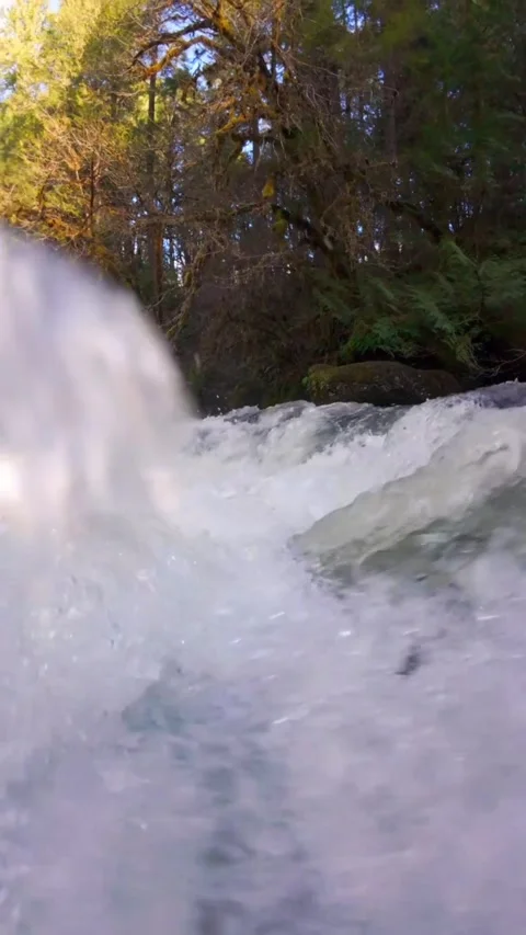 Mountain river in the forest Stock Footage 274043695