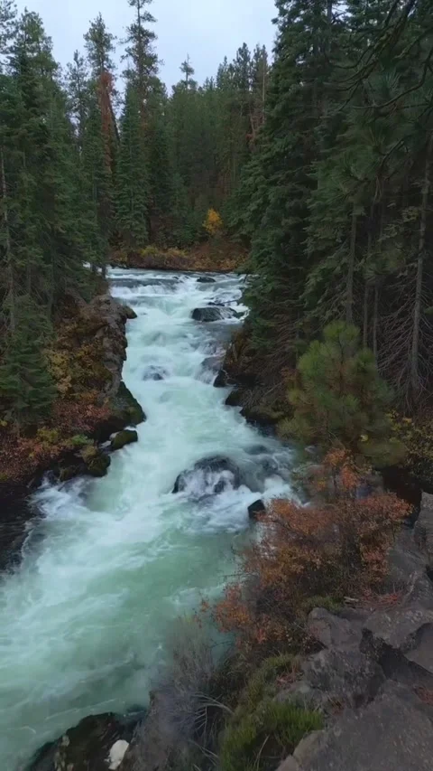 Mountain river in the forest Stock Footage 274867384
