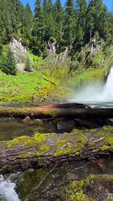 Mountain river in the forest Stock Footage 274867843