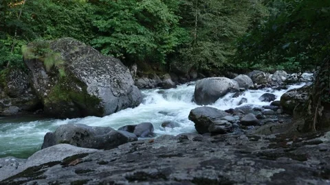 Mountain river in the forest Stock Footage 284362566