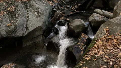 Mountain river in the forest Stock Footage 297317976